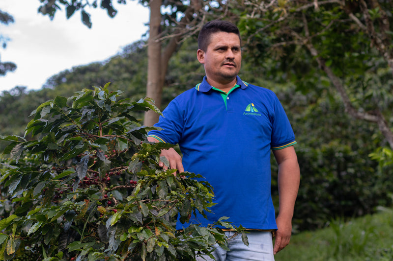 We have worked exclusively with Yuver since 2020 to separate his best coffees from his 18 Hectare regenerative organic farm, Finca El Paraiso.