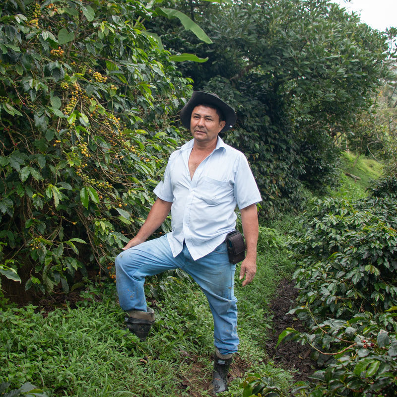 For Henry Ramirez, producing organic coffee is not just about quality—it’s about respect for the environment and the people who drink it.