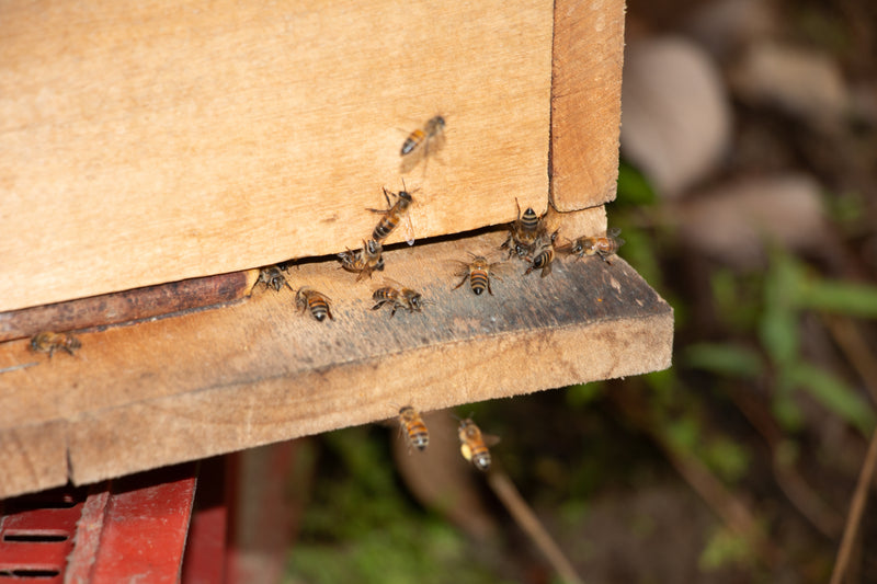 Learn more about Regenerative Organic Certification